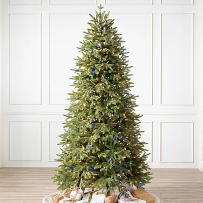 OPEN BOX: Balsam Hill Most Realistic Silverado Slim Faux Tree, 7' LED Twinkly Light Show