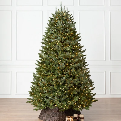 Balsam Hill Most Realistic Fraser Fir Faux Tree, 7.5'-12'