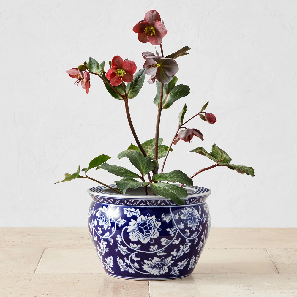 Blue & White Ceramic Planter, Medium