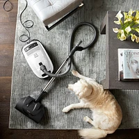 Miele Complete C3 Cat & Dog Vacuum