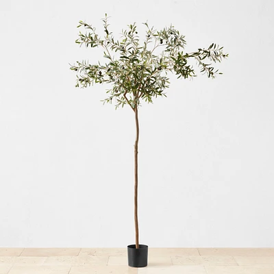 Faux Olive Tree in Plastic Pot, 1,500 Leaves, 95"