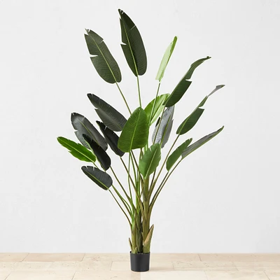 Faux Bird Of Paradise Plant in Plastic Pot, 18 Leaves, 93"