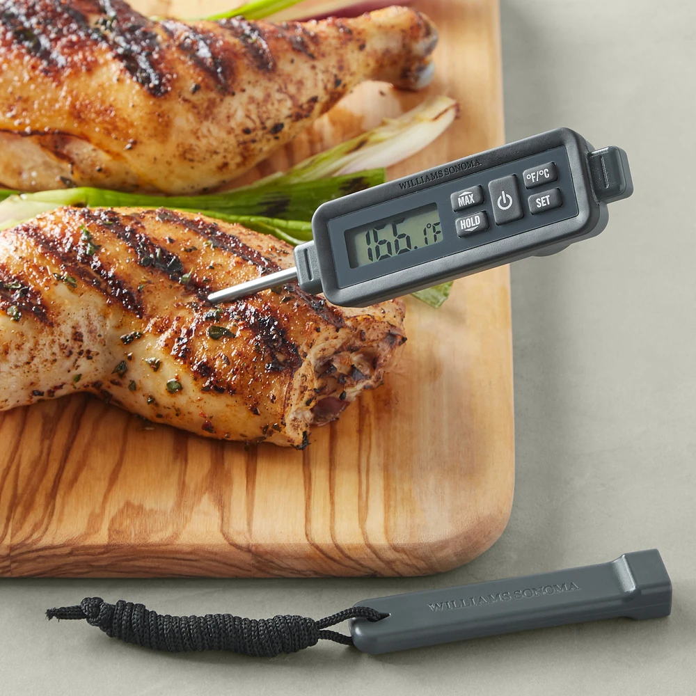 Williams Sonoma Waterproof Pen Thermometer