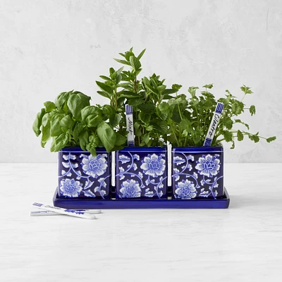 Blue & White Ceramic Herb Tray with Pots & Plant Markers, Set of 3