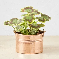 Copper Round Ribbed Planter