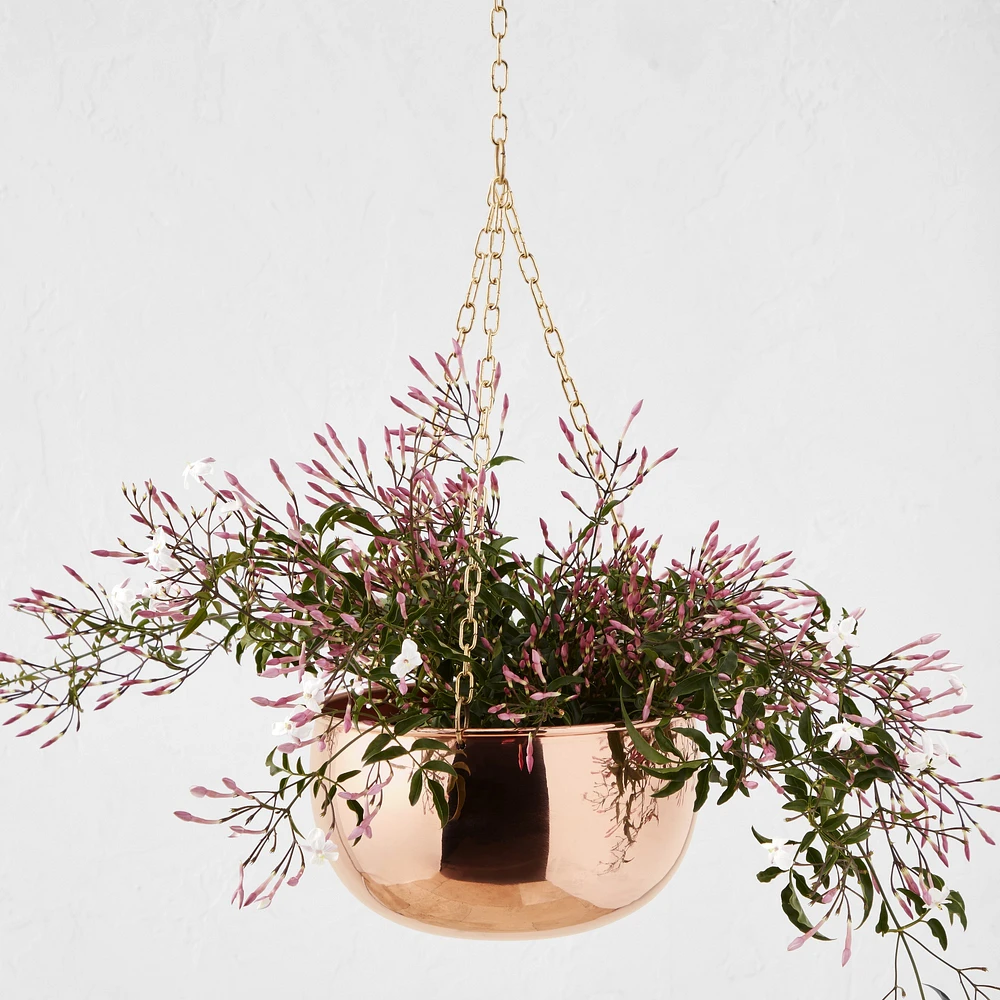 Hanging Copper Planter