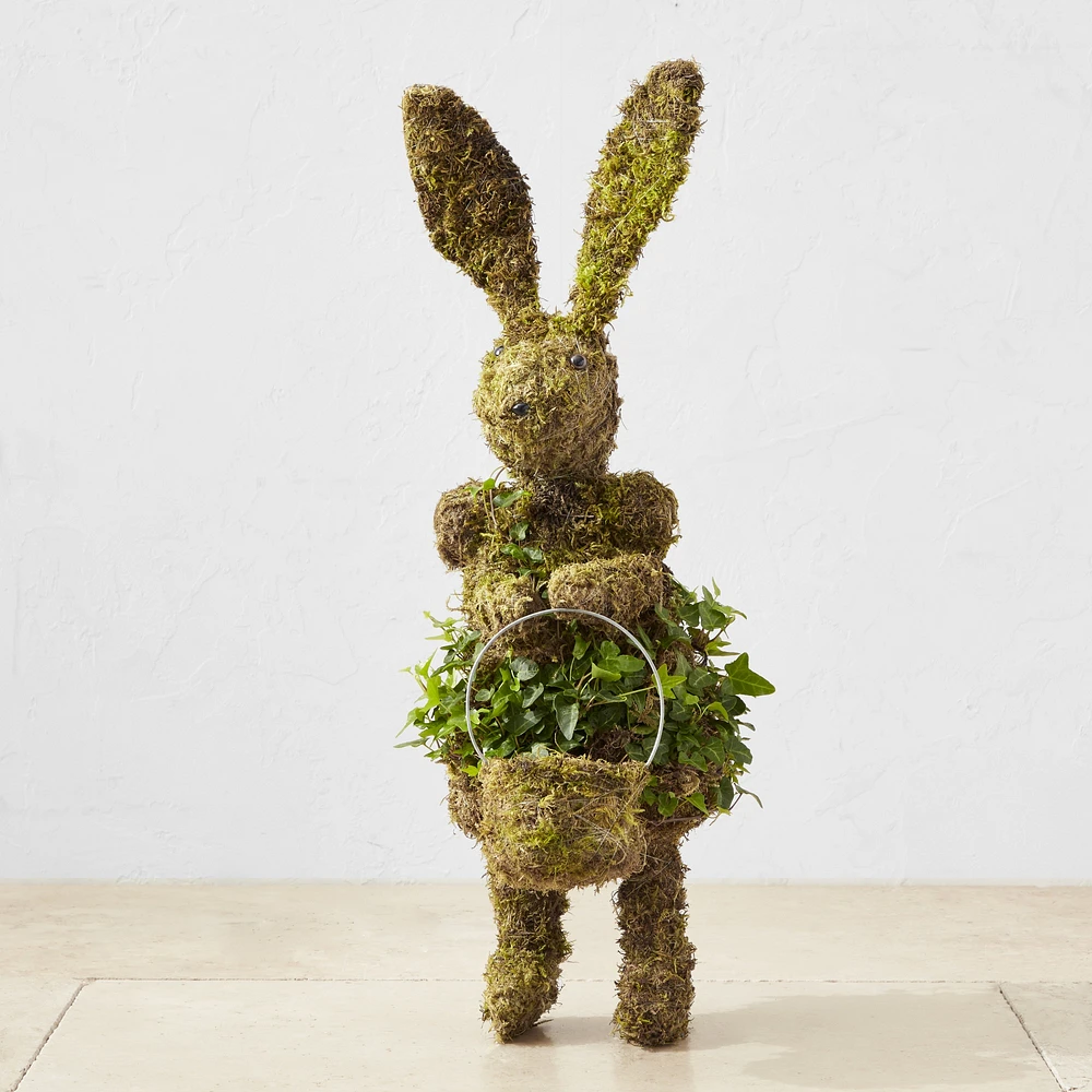 Easter Bunny with Basket Ivy & Moss Live Topiary, 24"