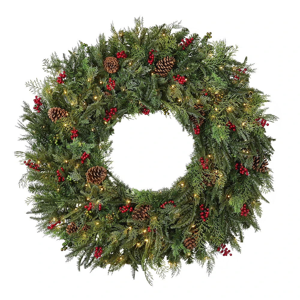 OPEN BOX: Balsam Hill Outdoor Winter Evergreen Window Wreath, 22", LED Clear Battery-Operated