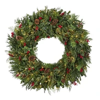 OPEN BOX: Balsam Hill Outdoor Winter Evergreen Window Wreath, 22", LED Clear Battery-Operated