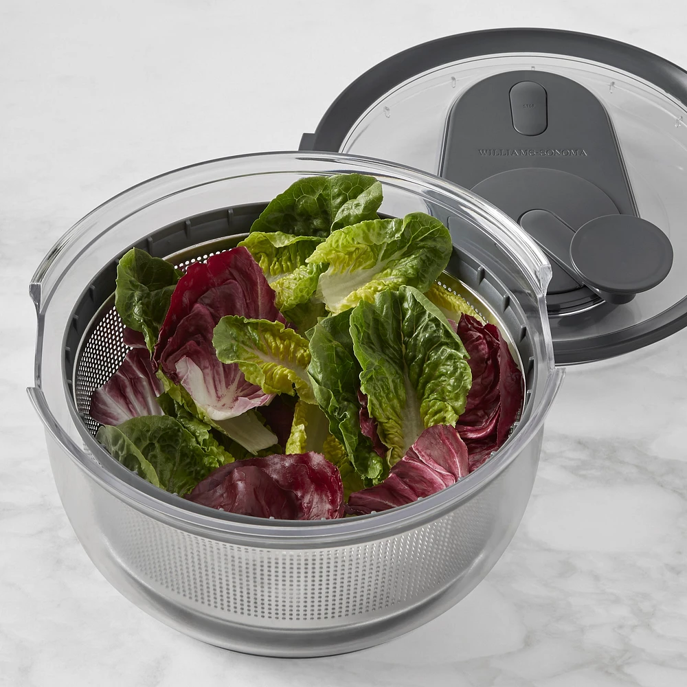 Williams Sonoma Stainless-Steel Salad Spinner