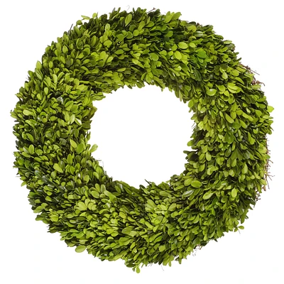 Boxwood Live Wreath, 20"