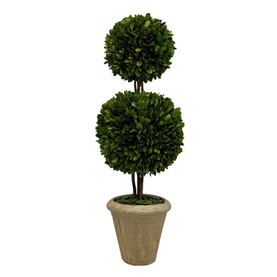 Preserved Boxwood Cone & Ball Topiary, 24"