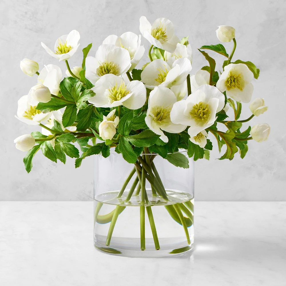 AERIN Real Touch Faux White Hellebores Arrangement in Glass Vase