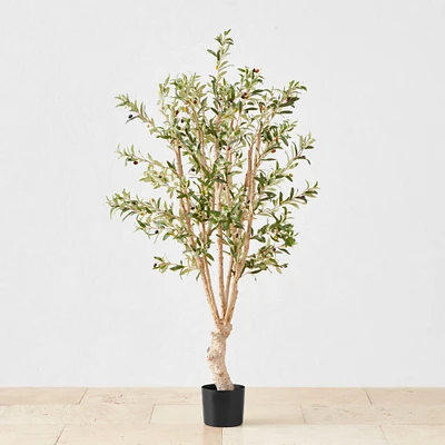 Faux Indoor Silk Olive Tree, 1,300 Leaves, 60"