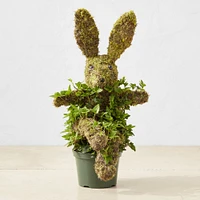 Potted Easter Bunny Ivy & Moss Live Topiary, 16"