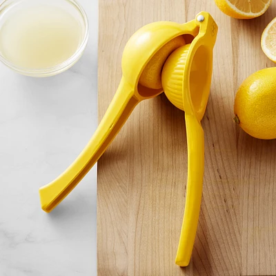 Open Kitchen by Williams Sonoma Lemon Press