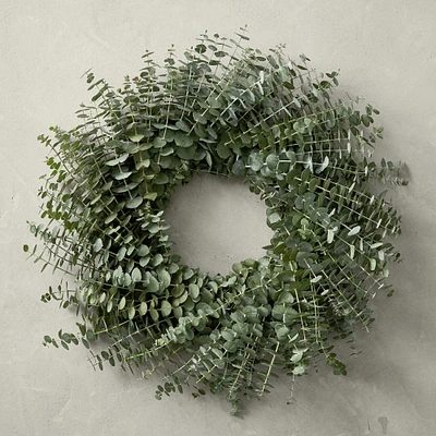 Baby Eucalyptus Live Wreath