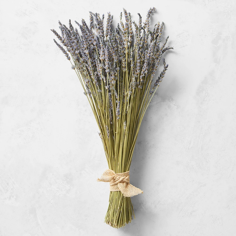 Dried Lavender Bunch