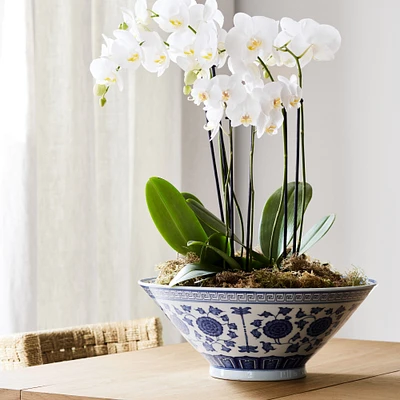 Ginger Jar Bowl, Blue and White