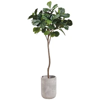 Faux Fiddle Leaf Tree in Fiber Cement Planter, 7'