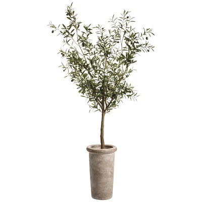 Faux Olive Tree Cement Planter, 72"-98"