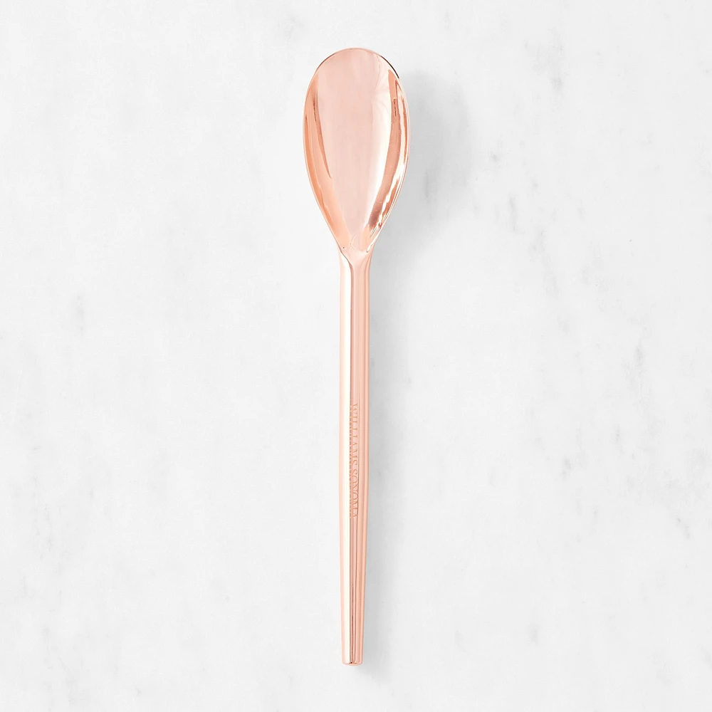 Williams Sonoma Copper Extension Spoon