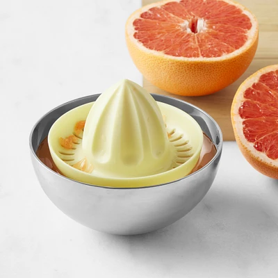 Williams Sonoma Citrus Reamer and Juicer