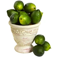 Faux Limes, Set of 12