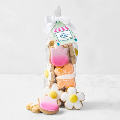 Williams Sonoma Spring Iced Cookies