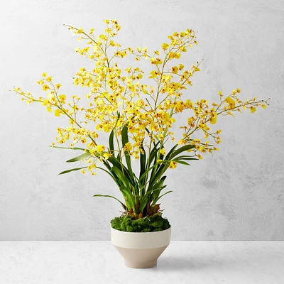 Jeff Leatham Faux Dancing Oncidium Orchids in Tapered Bowl, 38"