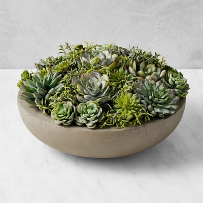 Jeff Leatham Faux Succulents in Round Bowl, 6"