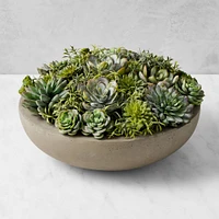 Jeff Leatham x Williams Sonoma Faux Succulents in Round Bowl, 6"