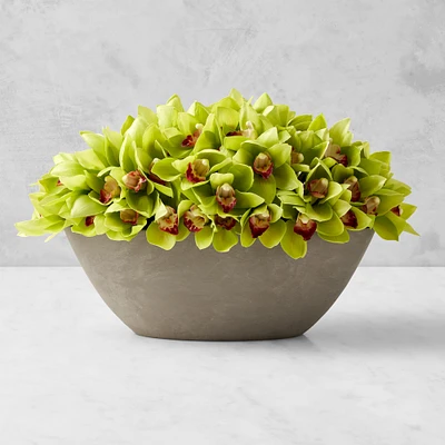 Jeff Leatham x Williams Sonoma Faux Green Cymbidium Orchid in Oval Bowl