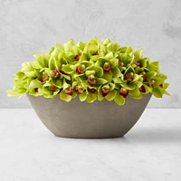 Jeff Leatham x Williams Sonoma Faux Green Cymbidium Orchid in Oval Bowl