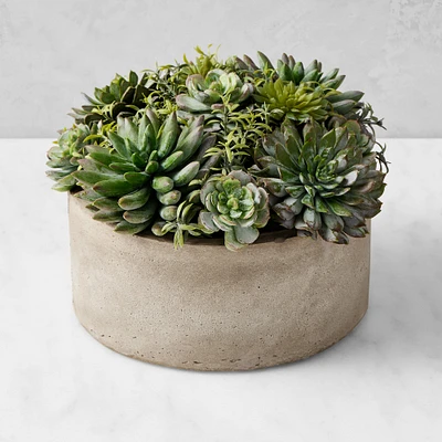 Jeff Leatham Real Touch Faux Succulents in Round Pot, 7"