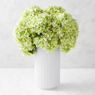 Jeff Leatham x Williams Sonoma Real Touch Faux Light Green Hydrangea Stems, Set of 12