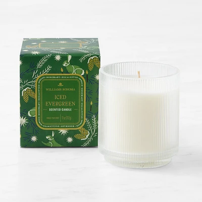 Williams Sonoma Seasonal Home Scents Iced Evergreen Candle