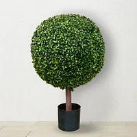 Faux Boxwood Ball Topiary, Indoor/Sheltered Outdoor, 33"