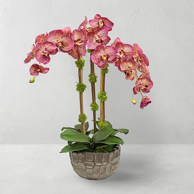 Faux Orchids in Planter, 23"