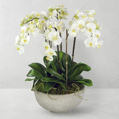 Faux Orchids in Planter