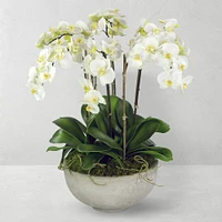 Faux Orchids in Planter