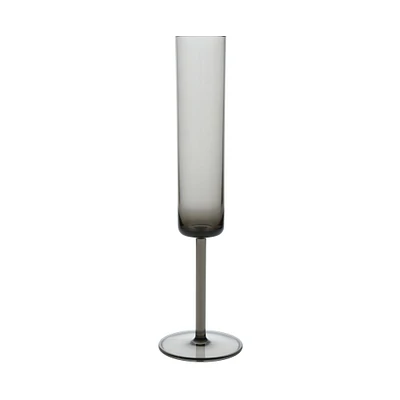 Fortessa Urbo Outdoor Champagne Flutes, Set of 6