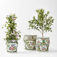 Famille Rose Planter Collection