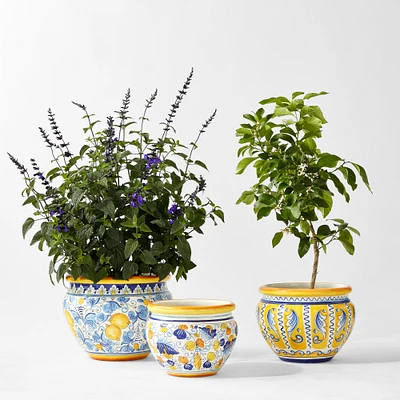 Italian Hand-Painted Planter Collection