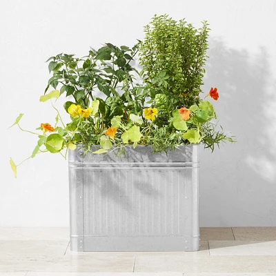 Vintage Galvanized Raised Planter