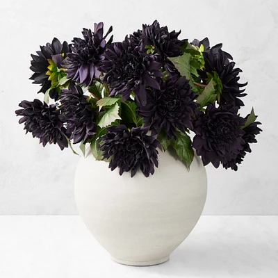 Jeff Leatham x Williams Sonoma Real Touch Faux Black Dahlia Stems, Set of 12