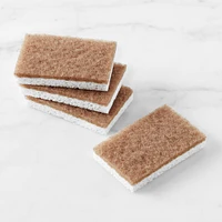 Full Circle a Nut Shell Walnut Scrubber Sponge