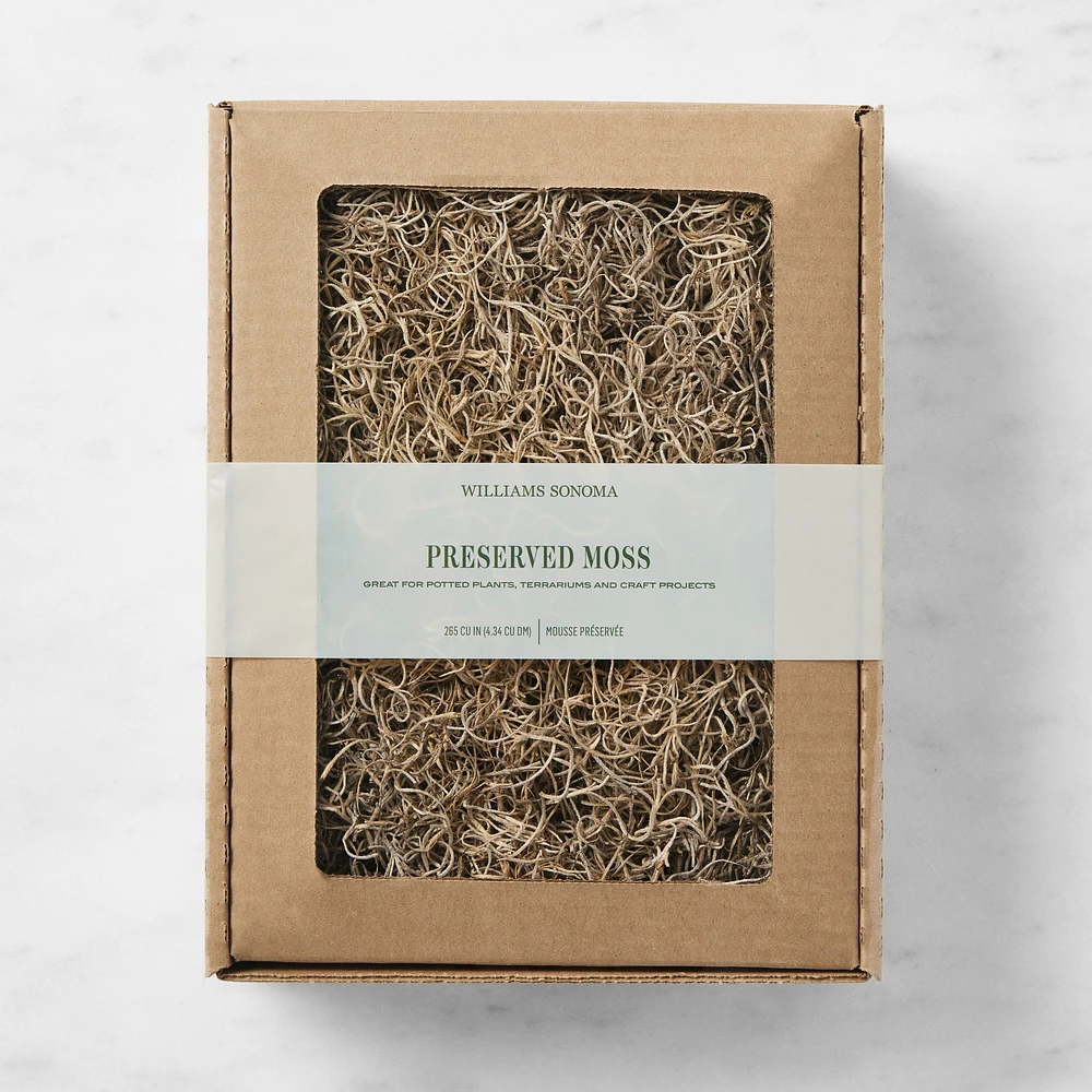 Williams Sonoma Preserved Spanish Moss