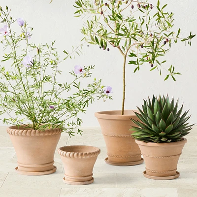 Williams Sonoma Terracotta Rope Planter