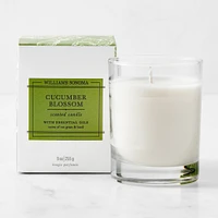 Williams Sonoma Cucumber Blossom Collection